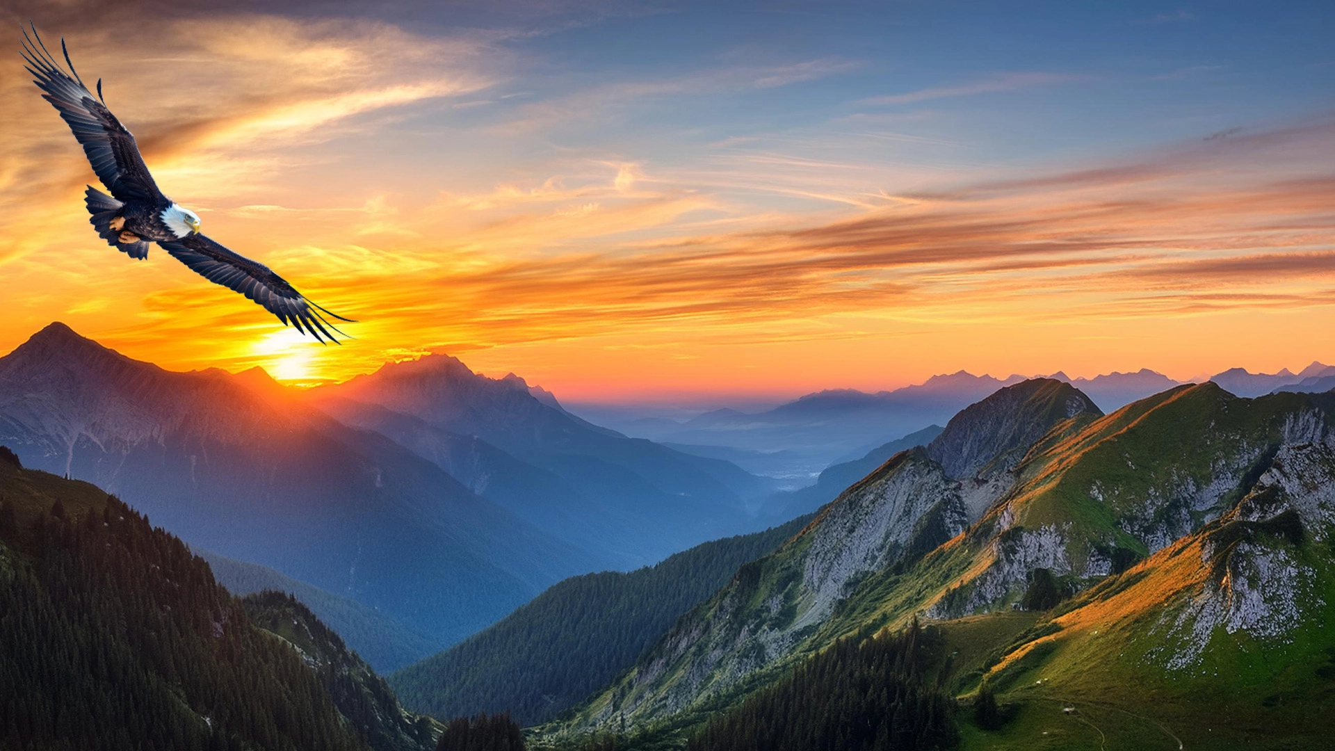 EaglesNest Background